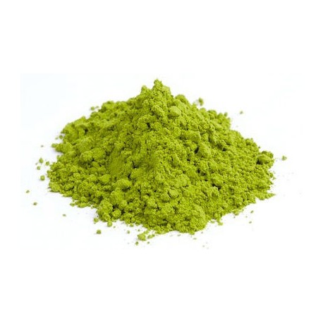 1 Kg di Matcha In Polvere