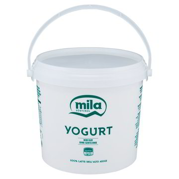 Yogurt Bianco Latteria Valtellina Da 5Kg