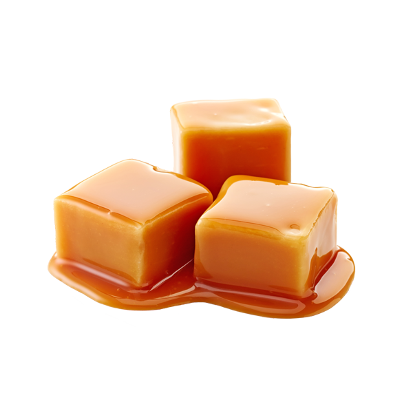 Squeeze Caramello Salato da 2Kg