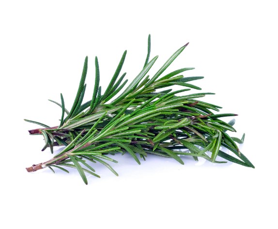 Aghi Di Rosmarino In Sacchetto Da 500gr