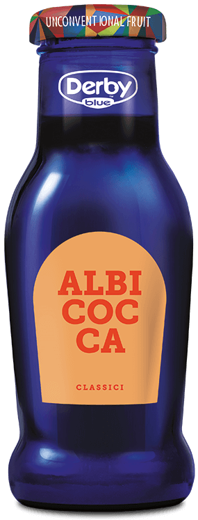 24 X Succo Di Frutta Derby Albicocca 20cl