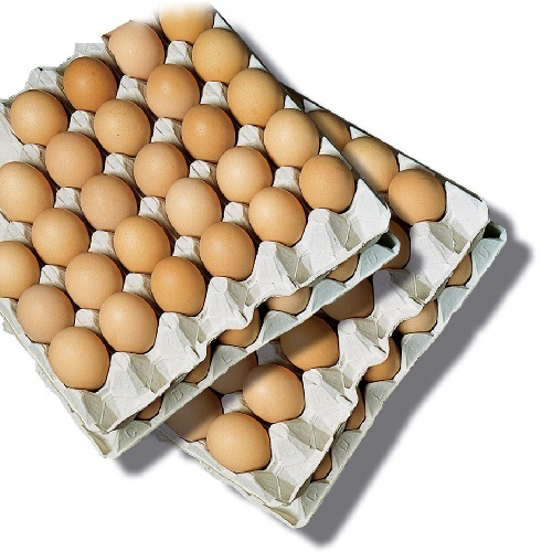 [RF80017] 90 x Uova Fresche Cat. A Medie G.53/63